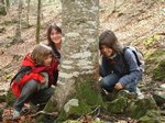 olot CS 049.jpg