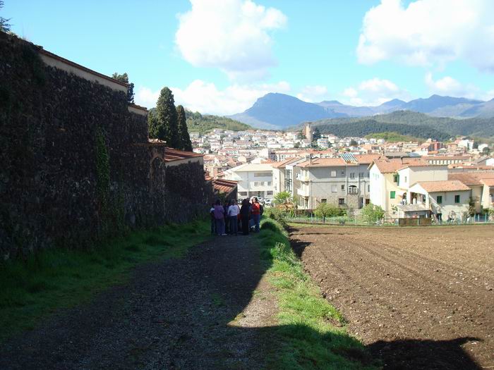 olot CS 003.jpg