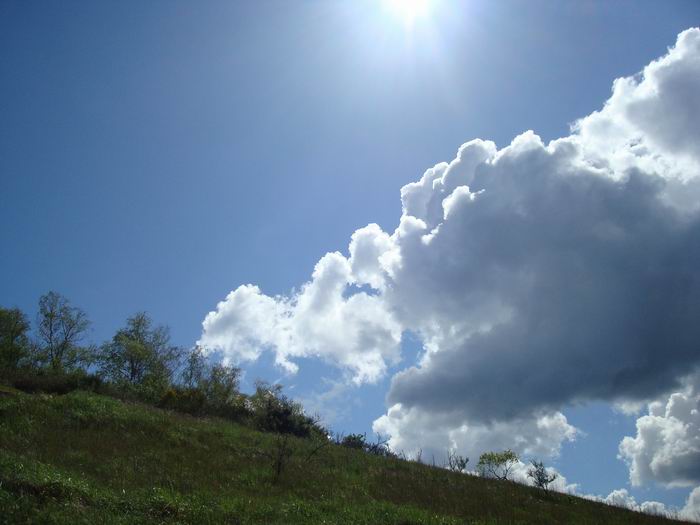 olot CS 019.jpg