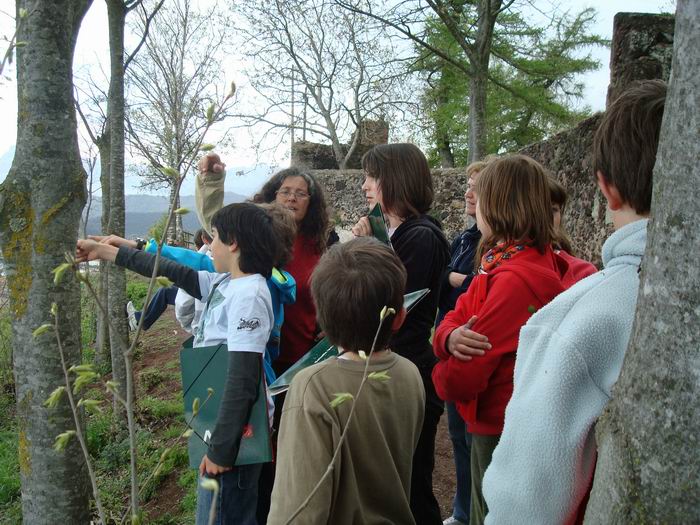 olot CS 041.jpg