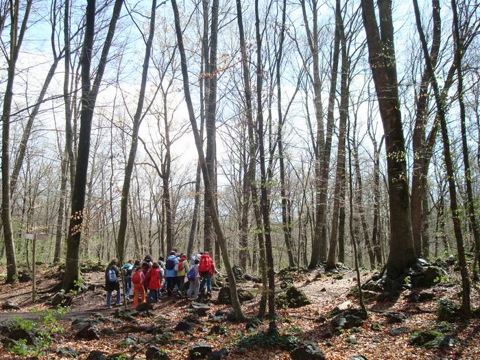 olot CS 044.jpg
