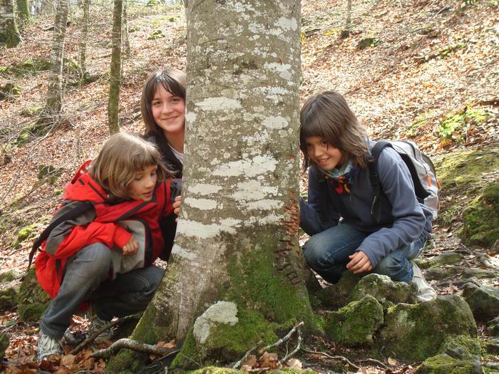 olot CS 049.jpg