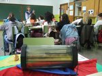 pollets 03.JPG
