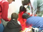 pollets 07.JPG