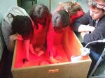 pollets 11.JPG