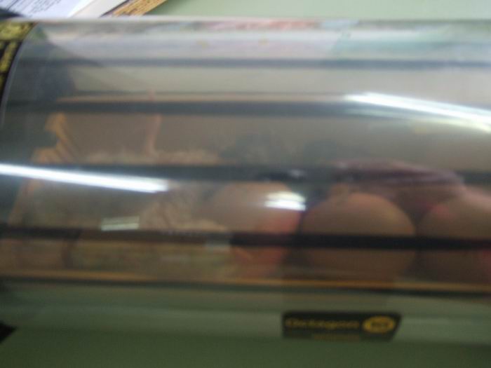 pollets 06.JPG