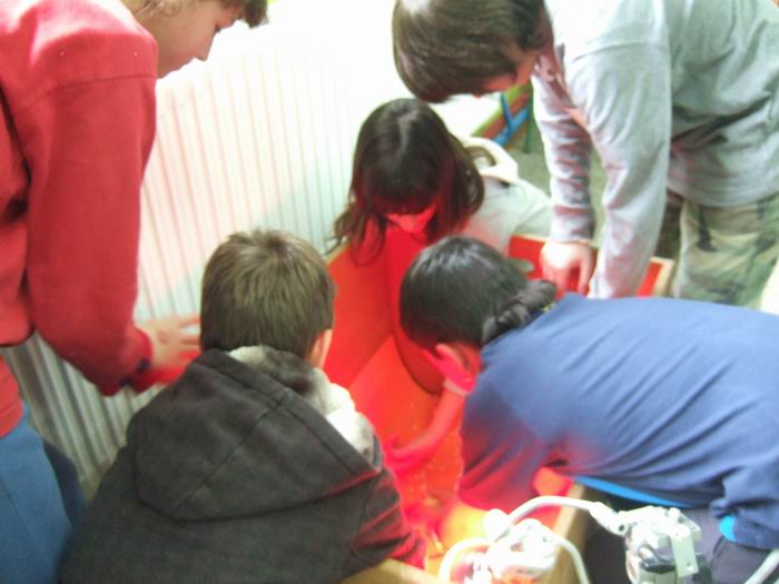 pollets 07.JPG