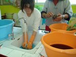 taller mares 04.jpg