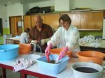 taller mares 30.jpg