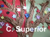 http://ciclesuperiorcarlesbuigas.blogspot.com.es/