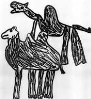 camell i dromedari