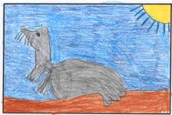 La foca