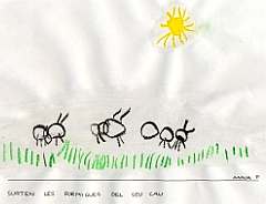 Surten les formigues del seu cau. Anna P.