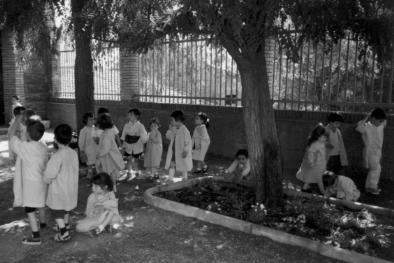 El pati del Parvulari