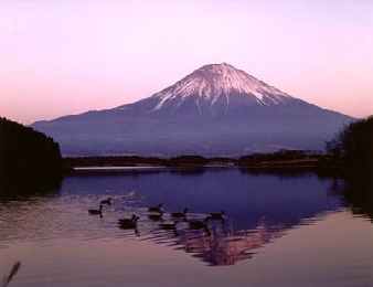 Fuji