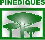 Els pins de Les Pinediques