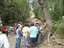 parc_gualba04.JPG
