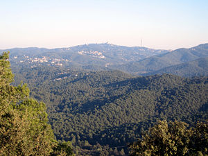 collserola