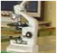 Departament de Ci�ncies experimentals