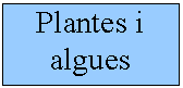 Quadre de text: Plantes i algues