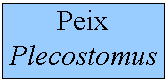 Quadre de text: Peix Plecostomus
