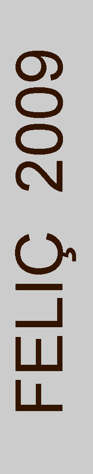 Cuadro de texto:    FELI  2009