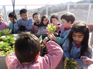 Fem amanida amb verdures de l'hort