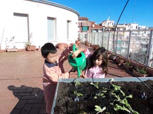 Plantem i sembrem Plantem i sembrem