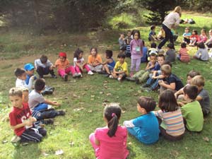 Descobrim el bosc a la tardor