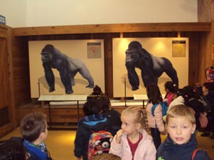 Visita al Zoo de Barcelona