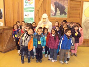 Visita al Zoo de Barcelona