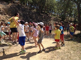 Activitats