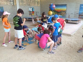 Activitats
