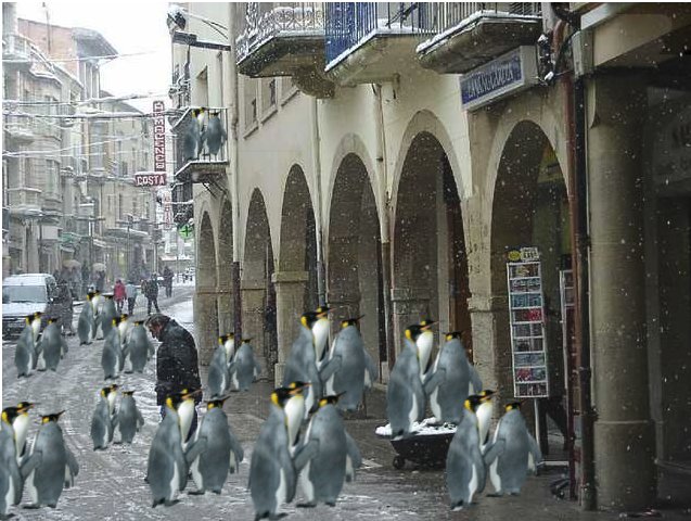 pinguins