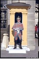 guardia