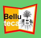 belluteca