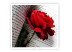 Sant Jordi