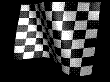 checkflg.gif (16161 bytes)