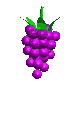 raim.gif (27962 bytes)
