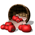 tomaq.gif (6934 bytes)