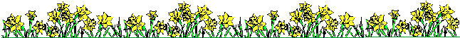 bar3.gif (6175 bytes)