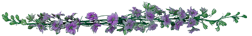 bar5.gif (17795 bytes)