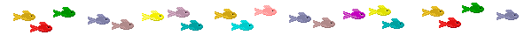 bar6.gif (2866 bytes)