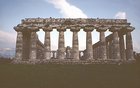 02b_hera_1_possidonia.jpg