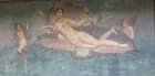 13_mural_pompei__anadyomene_venus_d_apel_les.jpg