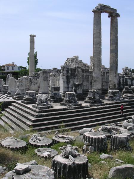 02_didyma01.jpg