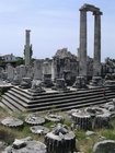 02_didyma01.jpg