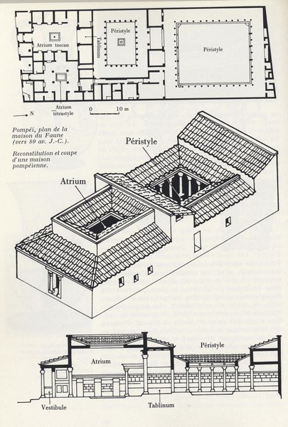 22__domus__jpg.jpg