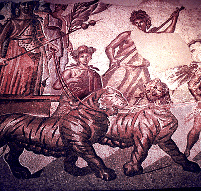 23_dionysus_tigers.jpg