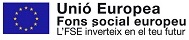 fse_1